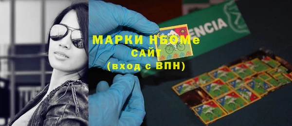 стаф Липки