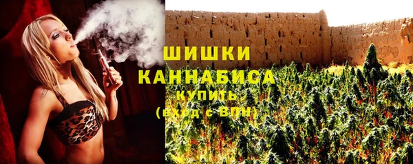 гашик Ладушкин