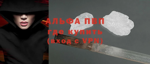 стаф Липки