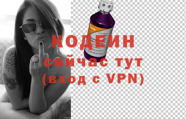 гашик Ладушкин