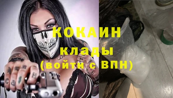 гашик Ладушкин