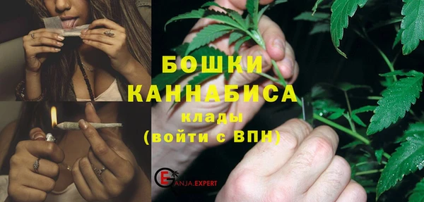 стаф Липки
