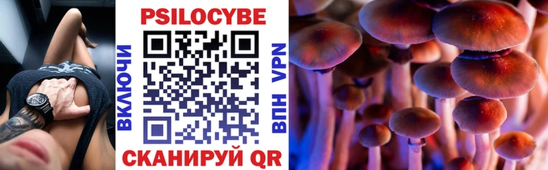 Псилоцибиновые грибы Cubensis  Медвежьегорск 